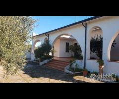 Selinunte villa immerse nel verde con vista templ - 10