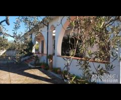 Selinunte villa immerse nel verde con vista templ - 11