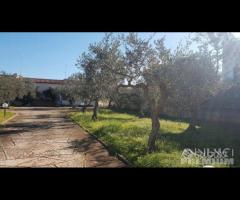 Selinunte villa immerse nel verde con vista templ - 13