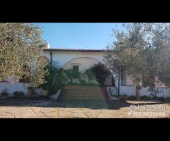 Selinunte villa immerse nel verde con vista templ - 14