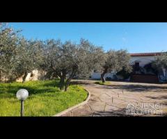 Selinunte villa immerse nel verde con vista templ - 15