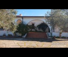 Selinunte villa immerse nel verde con vista templ - 16