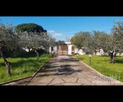 Selinunte villa immerse nel verde con vista templ - 17