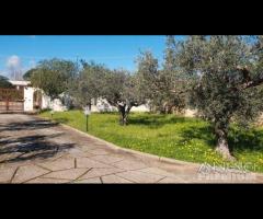 Selinunte villa immerse nel verde con vista templ - 18