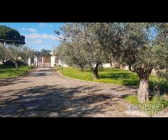 Selinunte villa immerse nel verde con vista templ - 19