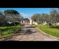 Selinunte villa immerse nel verde con vista templ - 20