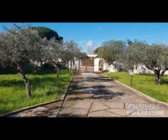 Selinunte villa immerse nel verde con vista templ - 21