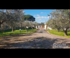 Selinunte villa immerse nel verde con vista templ - 22