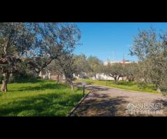 Selinunte villa immerse nel verde con vista templ - 24