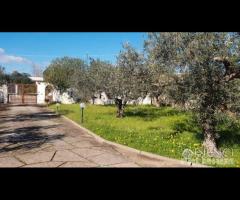 Selinunte villa immerse nel verde con vista templ - 25