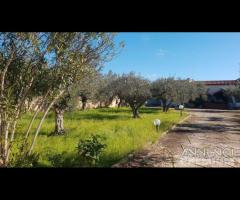 Selinunte villa immerse nel verde con vista templ - 26