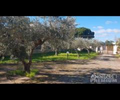 Selinunte villa immerse nel verde con vista templ - 27