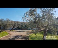 Selinunte villa immerse nel verde con vista templ - 28