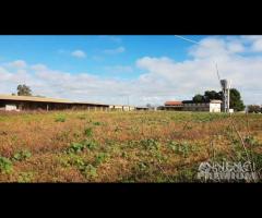 Castelvetrano complesso immobiliare per complessiv - 10