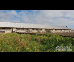 Castelvetrano complesso immobiliare per complessiv - 15