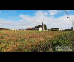 Castelvetrano complesso immobiliare per complessiv - 17