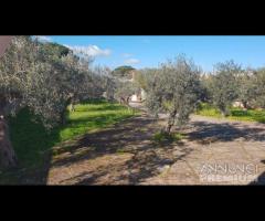 Selinunte villa bifamiliare con vista templi - 8