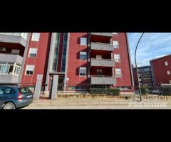 Castelvetrano appartamento p.4 con cantina - 11