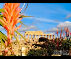 Selinunte appartanvilla residence "Villaggio La Fe - 12