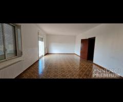 Castelvetrano ampio app. 9 vani via roma - 11