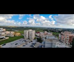 Castelvetrano ampio app. 9 vani via roma - 15