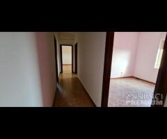 Castelvetrano ampio app. 9 vani via roma - 16