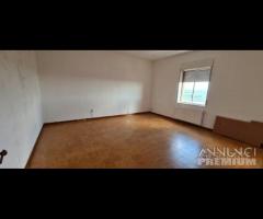 Castelvetrano ampio app. 9 vani via roma - 17