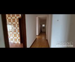 Castelvetrano ampio app. 9 vani via roma - 18