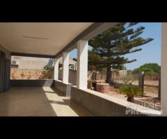 Triscina villa 5 vani + giardino a pochi passi dal - 9