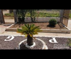 Triscina villa 5 vani + giardino a pochi passi dal - 10