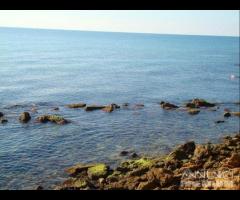 Selinunte appartamenti vista mare scalo di bruca - 15