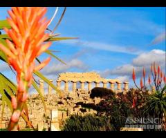 Selinunte appartamenti vista mare scalo di bruca - 23