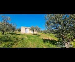 Castelvetrano terreno agricolo 20000 mq con magazz