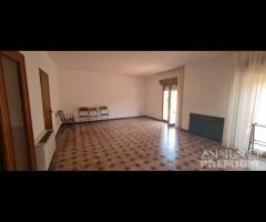 Castelvetrano app. p.1 con ampio terrazzo +box - 10