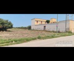 Selinunte terreno edificabile