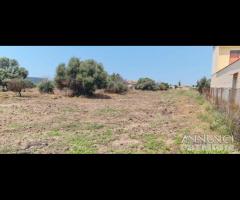 Selinunte terreno edificabile - 6