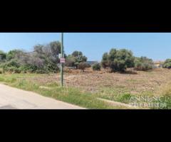 Selinunte terreno edificabile - 8