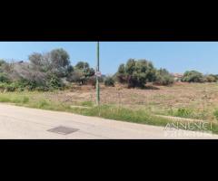 Selinunte terreno edificabile - 9