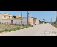 Selinunte terreno edificabile - 10