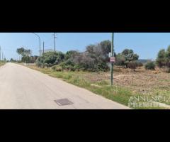 Selinunte terreno edificabile - 11