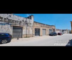 Castelvetrano complesso imm. di ampia metratura - 11