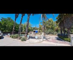 Castelvetrano locale comm. 200 mq Svincolo A/29 - 21