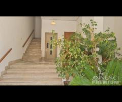 Castelvetrano app. angolo via tagliata piano 2 - 7