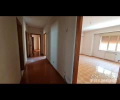 Castelvetrano app. angolo via tagliata piano 2 - 17