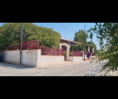 Triscina villa 6 vani + giardino a pochi passi dal - 7