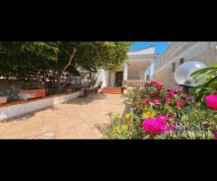 Triscina villa 6 vani + giardino a pochi passi dal - 11