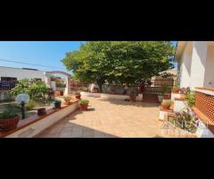 Triscina villa 6 vani + giardino a pochi passi dal - 14