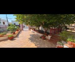 Triscina villa 6 vani + giardino a pochi passi dal - 15