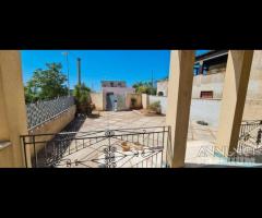 Triscina villa ind. con ampio giardino - 27