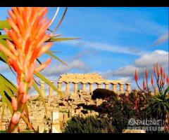 Selinunte appartamento 2 vani in centro - 23